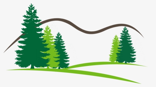 Open Canopy Tree - Vector Pine Tree Png, Transparent Png, Transparent PNG
