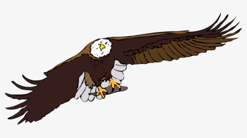 Eagle,bald Eagle,vulture - Cartoon Eagle Flying Gif, HD Png Download ,  Transparent Png Image - PNGitem