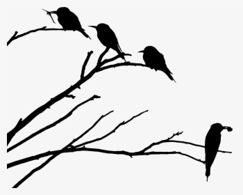 European Bee Eaters Silhouette Icons Png - Know Why The Caged Bird Sings Quotes, Transparent Png, Transparent PNG