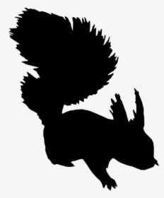 Animal Silhouette, Silhouette Clip Art - Clipart Woodland Animals Black And White, HD Png Download, Transparent PNG