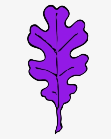 Vector Clip Art - Oak Tree Leaf Clip Art, HD Png Download, Transparent PNG
