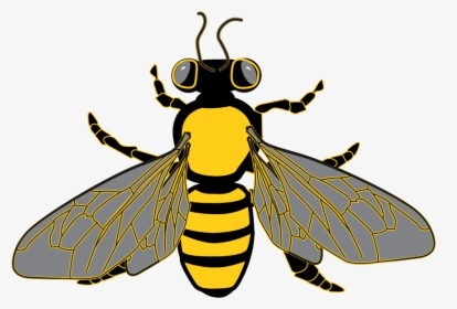 Honeycomb Clipart Outline - Bees On Clear Background, HD Png Download, Transparent PNG