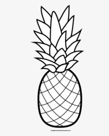 Adult Coloring Pages Pineapples, HD Png Download, Transparent PNG