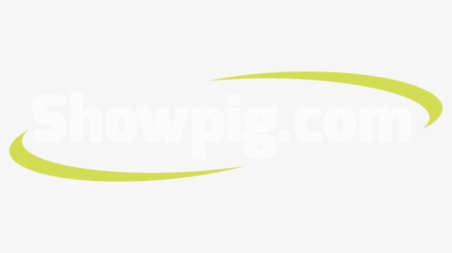 Com Main Logo - Showpig Com Logo, HD Png Download, Transparent PNG