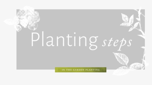 Planting - Graphic Design, HD Png Download, Transparent PNG