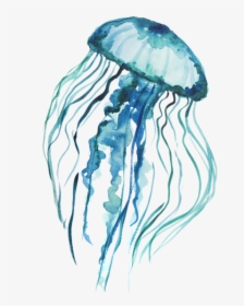Jelly Tentacles Png - Transparent Background Jellyfish Png, Png Download, Transparent PNG