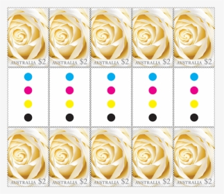 Gutter Strip 10 X $2 White Rose Stamps Product Photo - Floribunda, HD Png Download, Transparent PNG