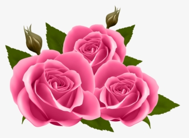 White Rose Clipart Yoville - Pink Roses Clipart, HD Png Download, Transparent PNG