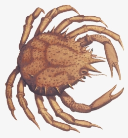 Transparent Crab Claw Png - Crabs, Png Download, Transparent PNG