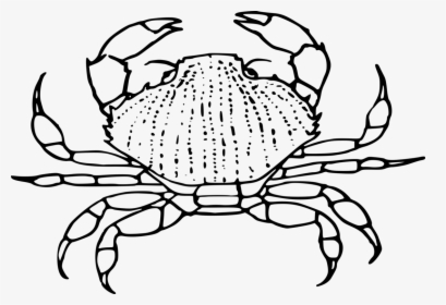 Line Art,plant,decapoda - Black And White Crab Clip Art, HD Png Download, Transparent PNG