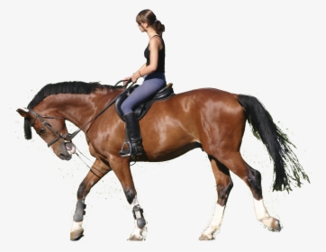 Transparent Horse Jumping Clipart - Horse Riding Png, Png Download, Transparent PNG