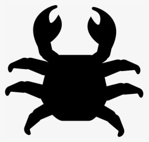 Crab Cake Vector Graphics Computer Icons Illustration - Top View Of Animals, HD Png Download, Transparent PNG