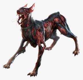 Zombie Png Picture - Zombie Dog, Transparent Png, Transparent PNG