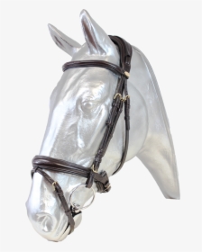 Stallion, HD Png Download, Transparent PNG