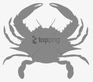 King-crab - Blue Crab Eyes, HD Png Download, Transparent PNG