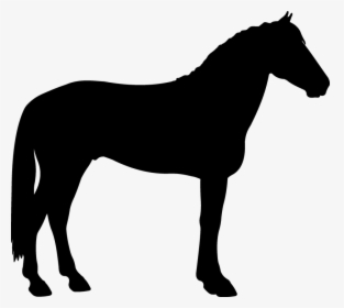 Silhouette, Saddle Horse, Black - Horse One Leg Up, HD Png Download, Transparent PNG