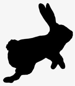Transparent Bunny Silhouette Clipart - Dog, HD Png Download, Transparent PNG