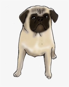 Charlie The Pug Is A Good Dog - Pug, HD Png Download, Transparent PNG