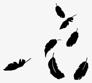 Transparent Falling Feathers Png, Png Download, Transparent PNG