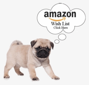 Our Amazon Wishlist - Anatomy Of A Doggo, HD Png Download, Transparent PNG