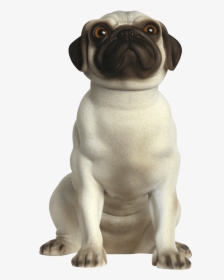 Wallacerealistic Front - Pug, HD Png Download, Transparent PNG