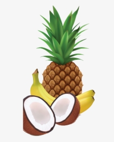 Juice Milkshake Coconut - Tropical Fruit Clipart, HD Png Download, Transparent PNG