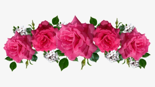 Rosas, Rosa, Flores, Daphne, Acuerdo, Jardín - Rosas Pink Png, Transparent Png, Transparent PNG