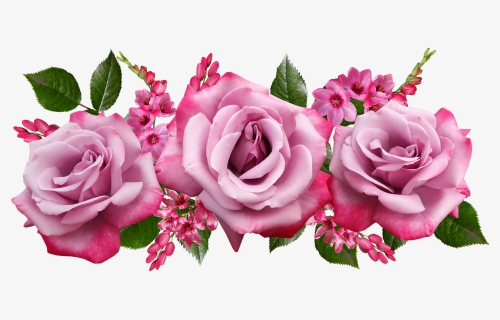Flores Cortar - Flores Png - Desenho Flor Rosa Png, Transparent Png ...