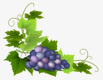 Grape Clipart Grape Leaf , Png Download, Transparent Png, Transparent PNG