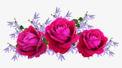 Roses, Red, David Austin, Floral, Arrangement - Arranjo De Rosa Png, Transparent Png, Transparent PNG
