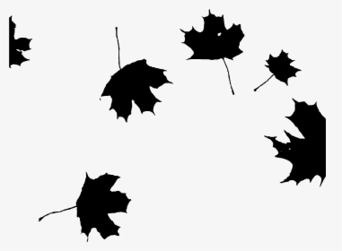Transparent Maple Leaf Png - Clipart Autumn Leaves Black And White, Png Download, Transparent PNG