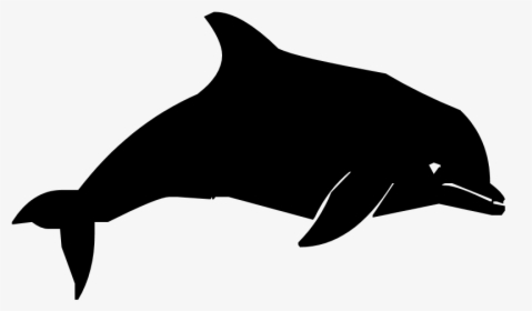 Dolphin Silhouette Clip Art - Dolphin, HD Png Download, Transparent PNG