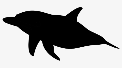 Killer Whale Clipart Silhouette - Fish Silhouette No Background, HD Png Download, Transparent PNG