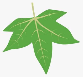 Transparent Grape Leaves Png - Sweetgum Tree Leaf Id, Png Download, Transparent PNG