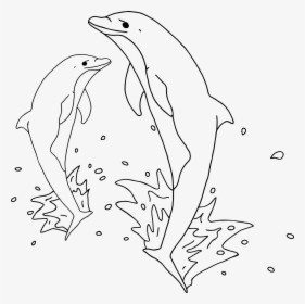 Jumping Dolphins Outline - Jumping Dolphin Clipart Black And White, HD Png Download, Transparent PNG
