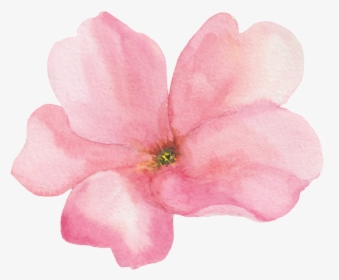Transparente Png Ornamental De Flores Rosas - Flores Rosadas Transparentes, Png Download, Transparent PNG