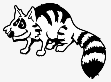 Raccoon Black And White Images Free Download Clipart - Raccoon Clipart Black And White, HD Png Download, Transparent PNG