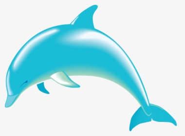 Collection Of Free - Dolphin Clipart, HD Png Download, Transparent PNG