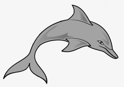 Free Dolphin Clipart Image - Clip Art Transparent Animals, HD Png Download, Transparent PNG