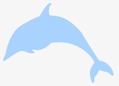 Dolphin, HD Png Download, Transparent PNG
