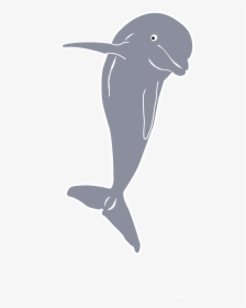 Dolphin Jumping, Front Clip Arts - Transparent Beluga Whale Outline, HD Png Download, Transparent PNG