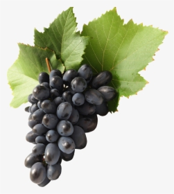 Black Grapes Png Background, Transparent Png, Transparent PNG