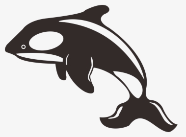 Clip Art Killer Whale Toothed - Whale And Dolphin Silhouette, HD Png Download, Transparent PNG