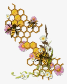 Honey Bee Honeycomb Drawing, HD Png Download, Transparent PNG