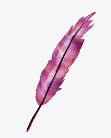 A Red Feather Png Element - Watercolor Painting, Transparent Png, Transparent PNG