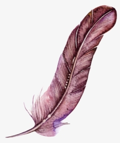 Dark Red Feather Cartoon Watercolor Beautiful Transparent - Watercolor Transparent Feather, HD Png Download, Transparent PNG