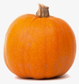 Jack O Lantern Pumpkin Calabaza Butternut Squash Cucurbita - Pumpkin Meaning In Punjabi, HD Png Download, Transparent PNG