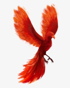 Feather - Phoenix Bird No Background, HD Png Download, Transparent PNG