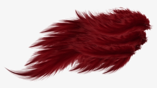 Red Feather Wing, HD Png Download, Transparent PNG