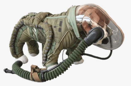 Space Suit For Dogs - Dog Space Suit, HD Png Download, Transparent PNG
